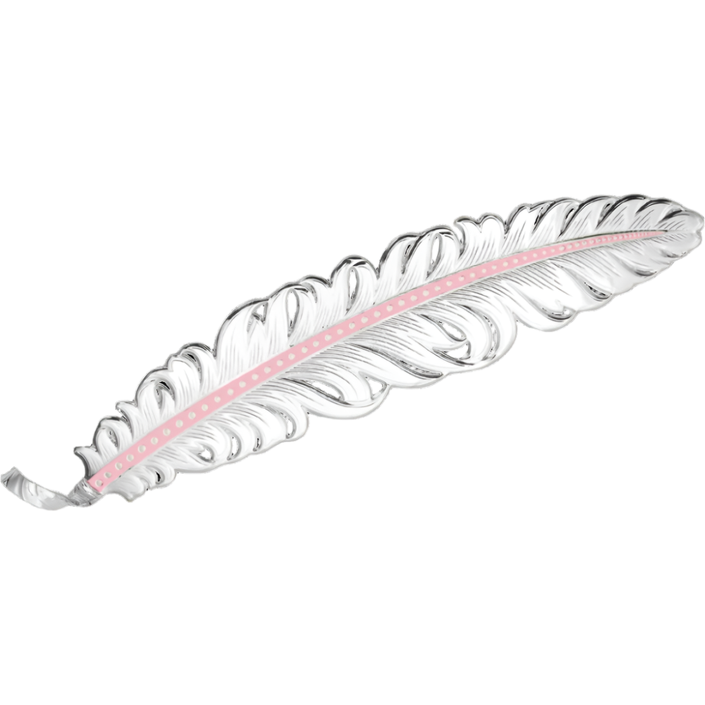 Pink Hat Feather