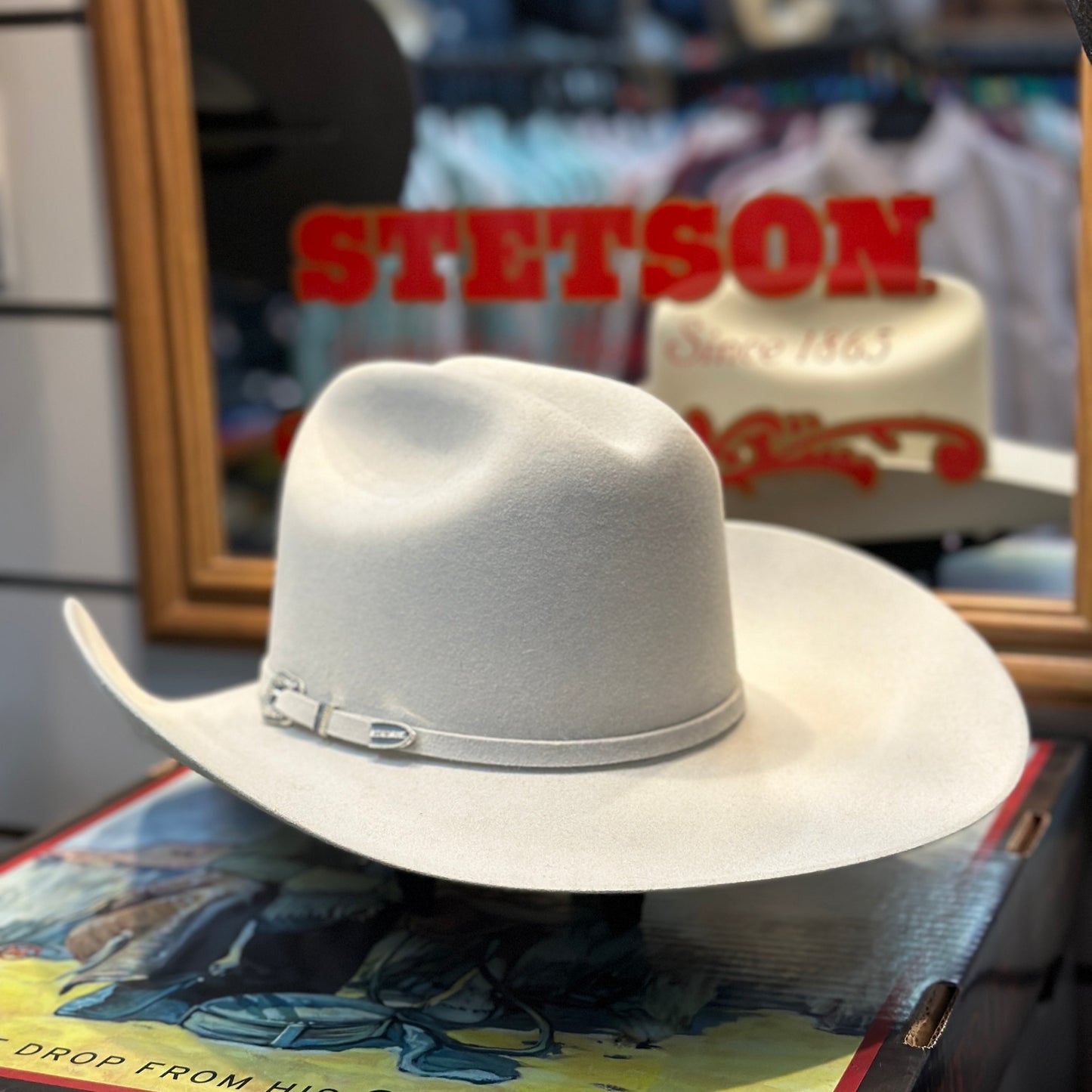 Stetson - Skyline 6X (Silver Grey) SFSKYL-754088