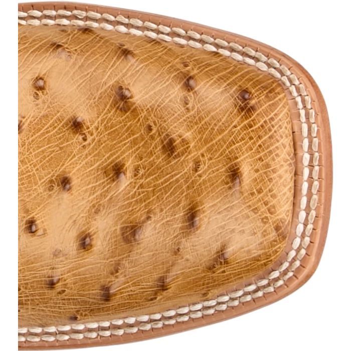 Tony Lama Men - Blaine Ostrich (Umber) RN3571