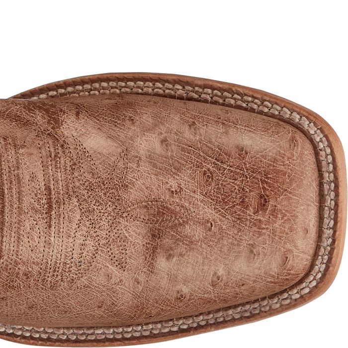 Tony Lama Men - Cadiz Smooth Ostrich (Coffee) SA6104